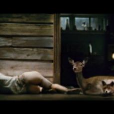 24 Antichrist (2009) by Lars Von Trier - Nature's murder by order(signified in this movie by the male)